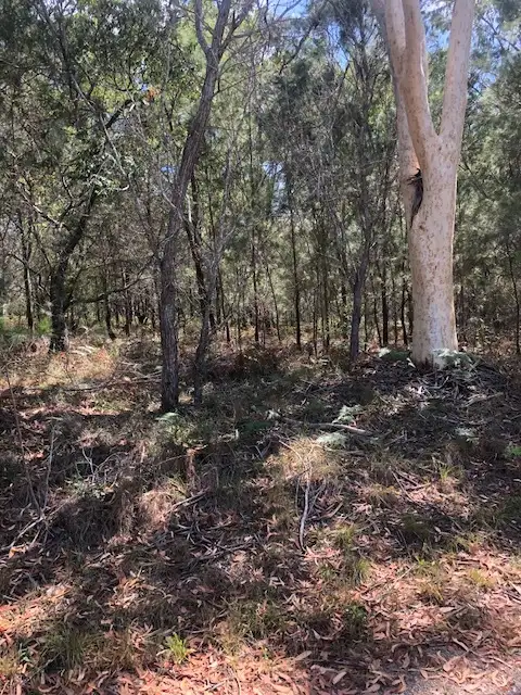 Second view of Homely land listing, 43 Tahlin Drive, Russell Island QLD 4184