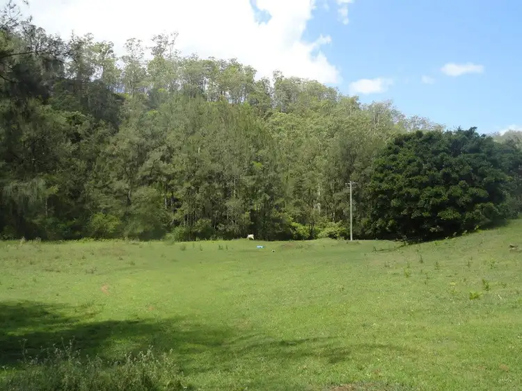 Sixth view of Homely rural property listing, 664 Horseshoe Creek Road, Kyogle NSW 2474