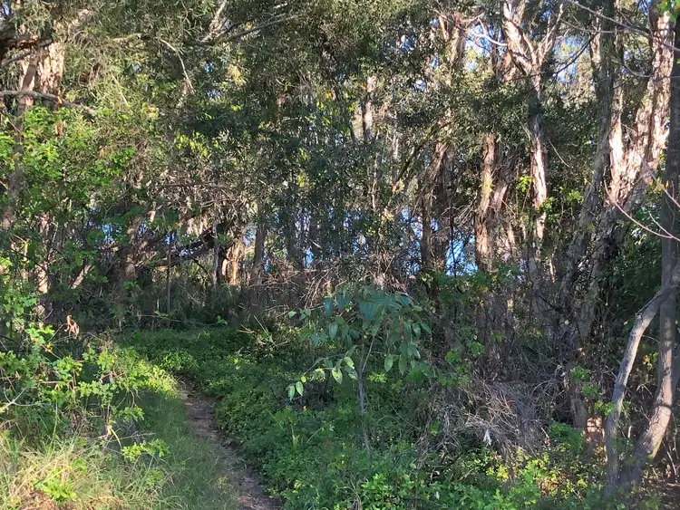 Seventh view of Homely land listing, 30 ORME DVE, Russell Island QLD 4184