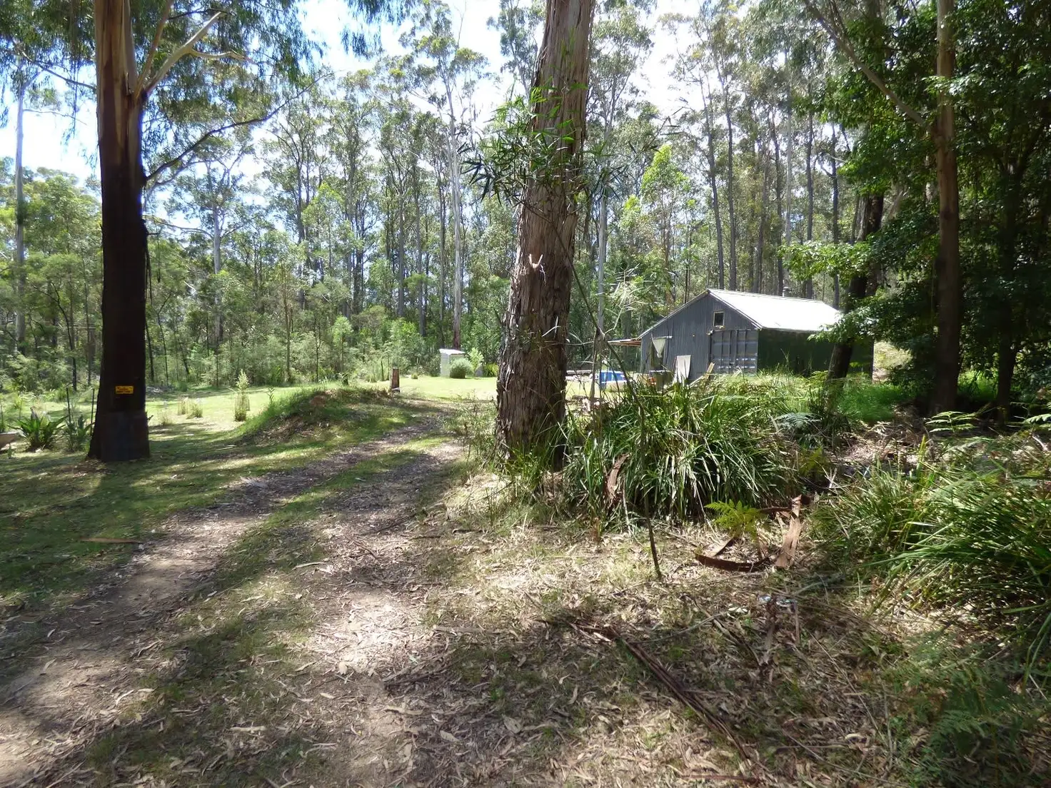 Main view of Homely rural property listing, Lot 34 Mt Darragh Road, Wyndham NSW 2550