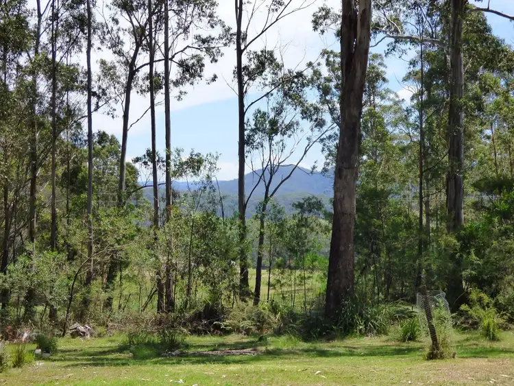 Second view of Homely rural property listing, Lot 34 Mt Darragh Road, Wyndham NSW 2550