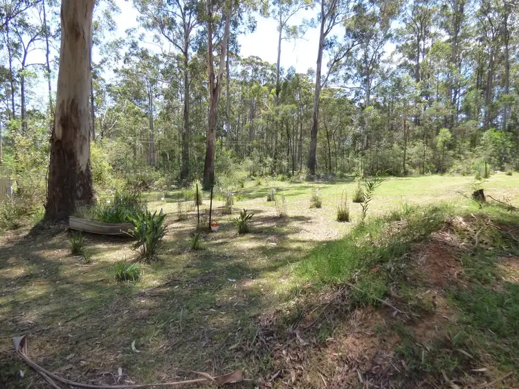 Fourth view of Homely rural property listing, Lot 34 Mt Darragh Road, Wyndham NSW 2550
