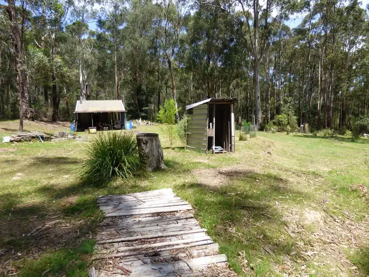 Fifth view of Homely rural property listing, Lot 34 Mt Darragh Road, Wyndham NSW 2550