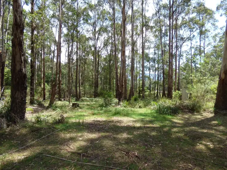 Sixth view of Homely rural property listing, Lot 34 Mt Darragh Road, Wyndham NSW 2550