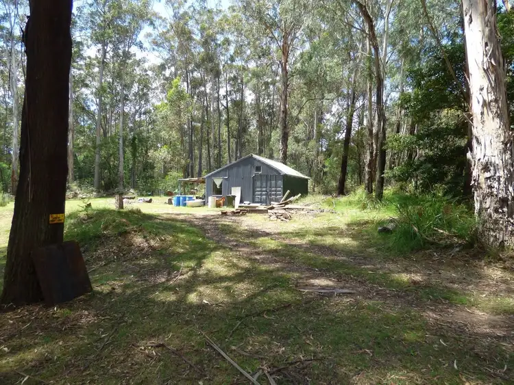 Seventh view of Homely rural property listing, Lot 34 Mt Darragh Road, Wyndham NSW 2550