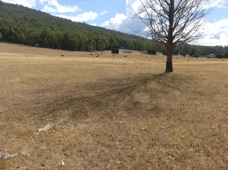 Second view of Homely land listing, Lot 1 Union Bridge Rd, Mole Creek TAS 7304