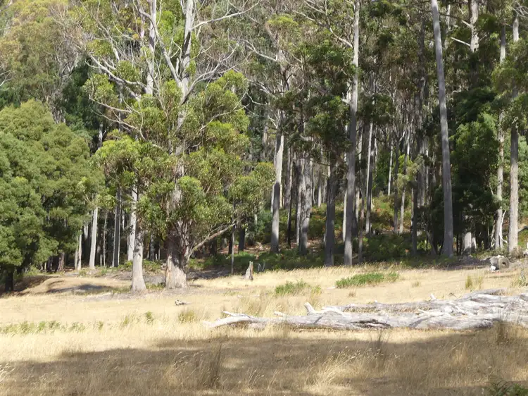 Third view of Homely land listing, Lot 1 Union Bridge Rd, Mole Creek TAS 7304