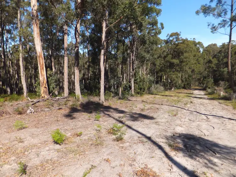 Seventh view of Homely rural property listing, 94 Eleven Mile Road, Sarsfield VIC 3875