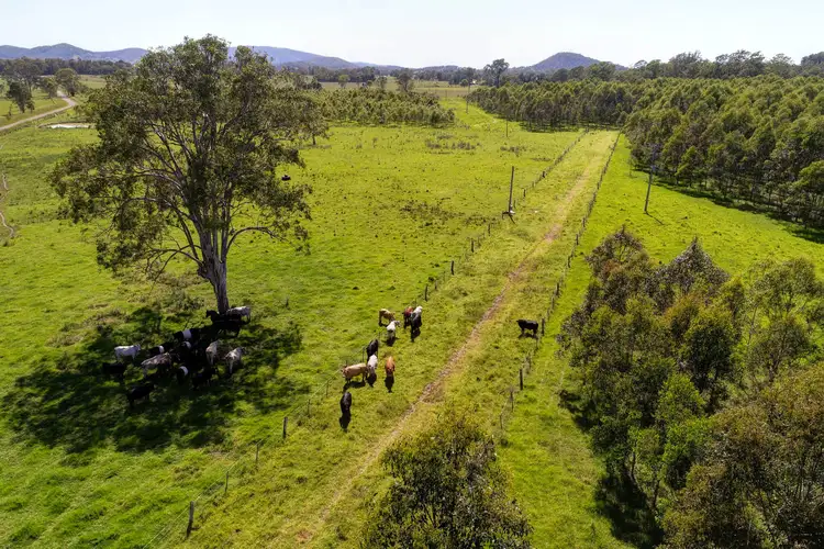 Third view of Homely rural property listing, 1292 Wang Wauk Rd, Firefly NSW 2429