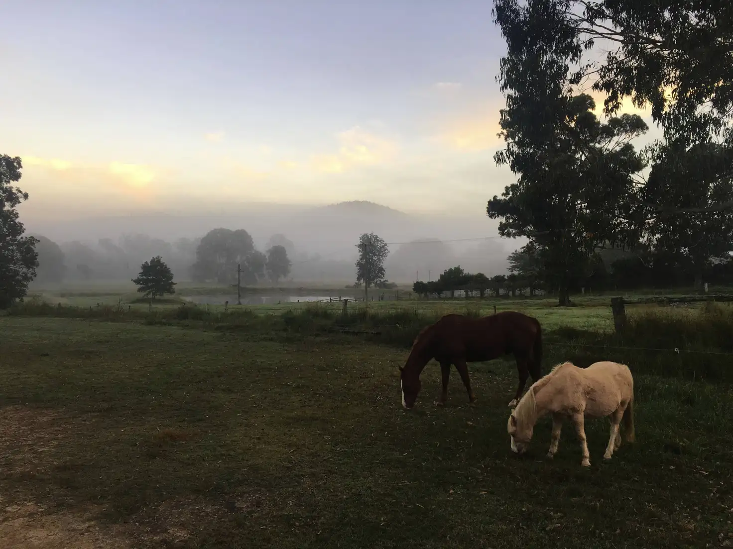 Main view of Homely rural property listing, 374 Mount Kilcoy Rd, Mount Kilcoy QLD 4515