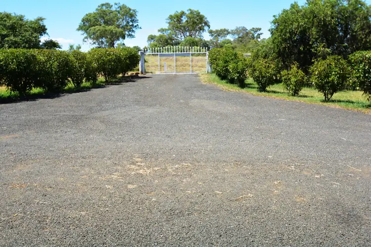Third view of Homely rural property listing, 317 Forest Plain Rd, Allora QLD 4362