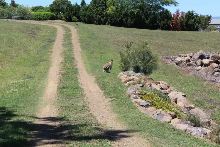 Seventh view of Homely land listing, 5 Mayra Ct, Warwick QLD 4370