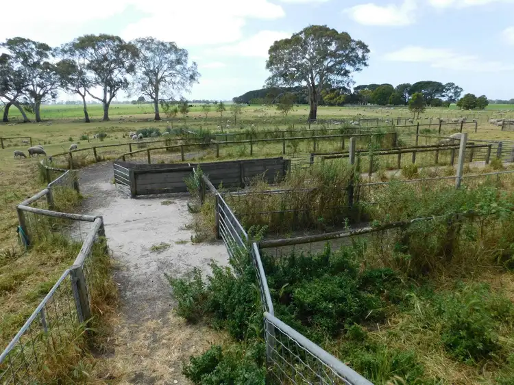 Fifth view of Homely rural property listing, 69 Gilbruc Road, Mount Gambier SA 5290