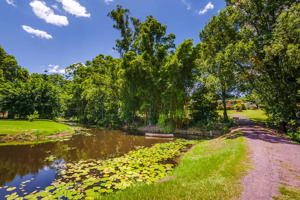 Main view of Homely rural property listing, 29 Menary Rd, Coes Creek QLD 4560