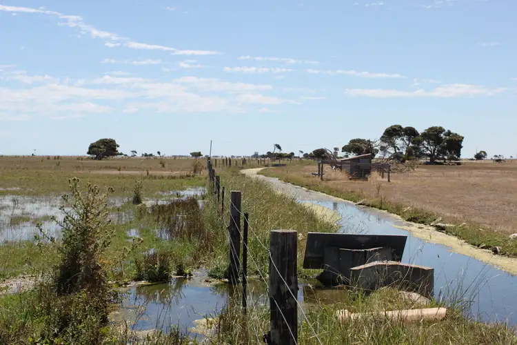 Main view of Homely rural property listing, 1040 Bowaka Rd, Reedy Creek SA 5275