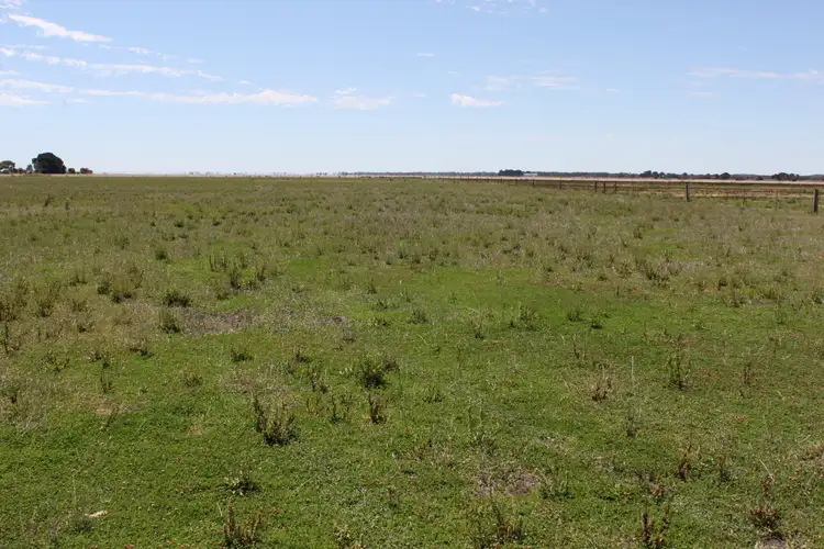 Third view of Homely rural property listing, 1040 Bowaka Rd, Reedy Creek SA 5275