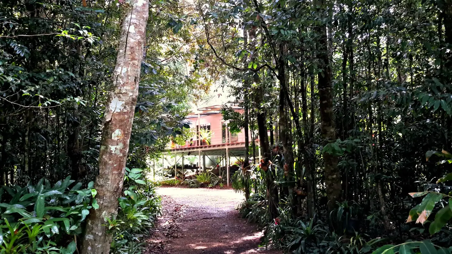 Main view of Homely rural property listing, 11845 Kennedy Hwy, Evelyn QLD 4888