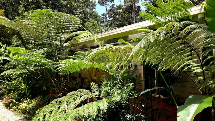 Fourth view of Homely rural property listing, 11845 Kennedy Hwy, Evelyn QLD 4888
