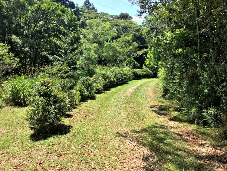 Seventh view of Homely rural property listing, 11845 Kennedy Hwy, Evelyn QLD 4888