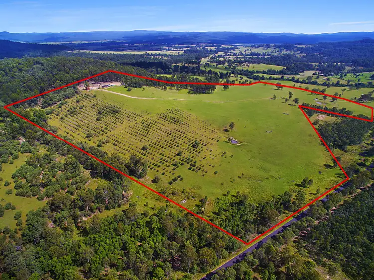 483 Tabulam Road, Tabulam NSW 2469