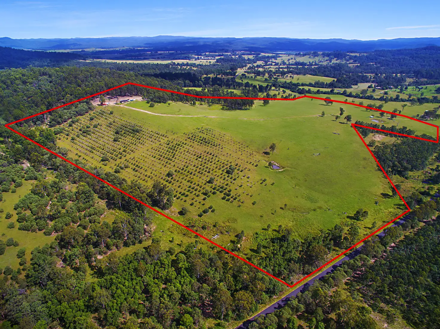 Main view of Homely rural property listing, 483 Tabulam Road, Tabulam NSW 2469