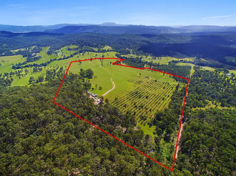 Second view of Homely rural property listing, 483 Tabulam Road, Tabulam NSW 2469