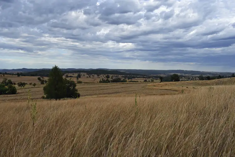 Second view of Homely rural property listing, 297 Dufty's Lane, Myall Creek NSW 2403