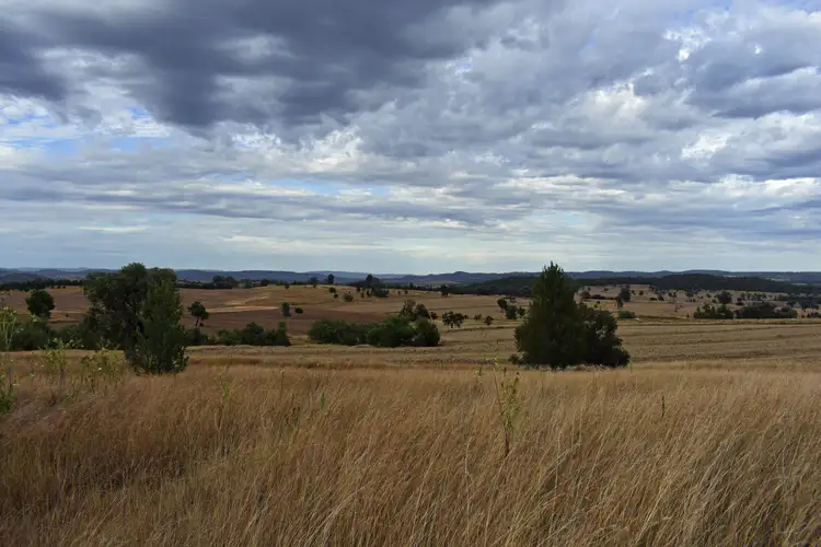 Third view of Homely rural property listing, 297 Dufty's Lane, Myall Creek NSW 2403