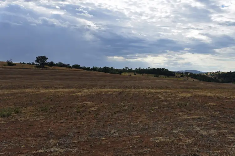 Seventh view of Homely rural property listing, 297 Dufty's Lane, Myall Creek NSW 2403