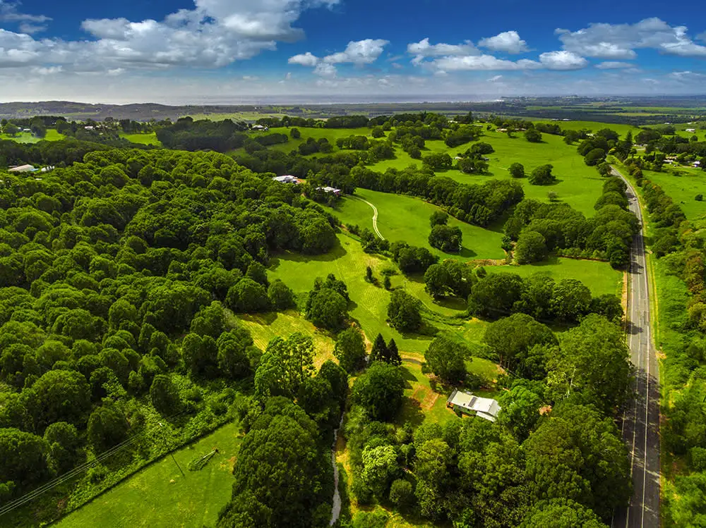 Main view of Homely rural property listing, 594 Hinterland Way, Newrybar NSW 2479