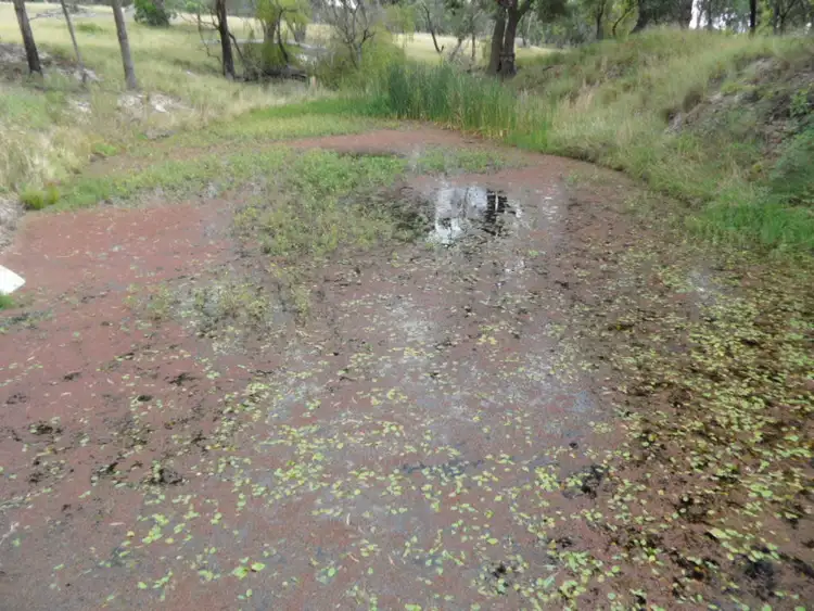 Third view of Homely rural property listing, Eukey Road, Stanthorpe QLD 4380