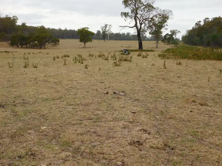 Fourth view of Homely rural property listing, 1422 Illawarra Rd, Carrick TAS 7291