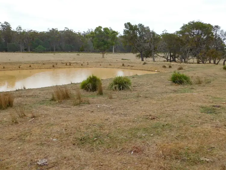 Sixth view of Homely rural property listing, 1422 Illawarra Rd, Carrick TAS 7291