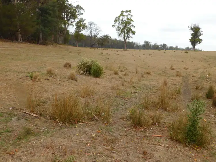 Seventh view of Homely rural property listing, 1422 Illawarra Rd, Carrick TAS 7291