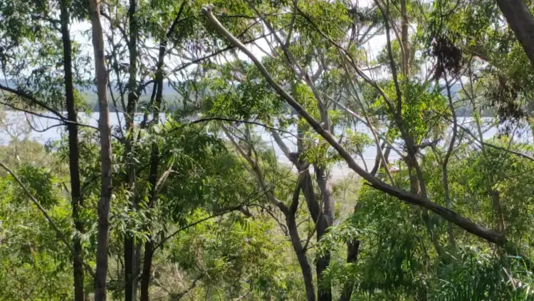 Second view of Homely house listing, 50 Deenya Pde, Russell Island QLD 4184