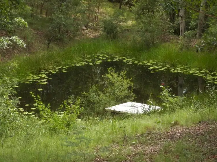 Third view of Homely rural property listing, 629 North Ewingar Rd, Ewingar NSW 2469
