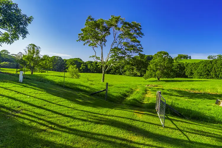 Fifth view of Homely house listing, 137 Friday Hut Rd, Tintenbar NSW 2478