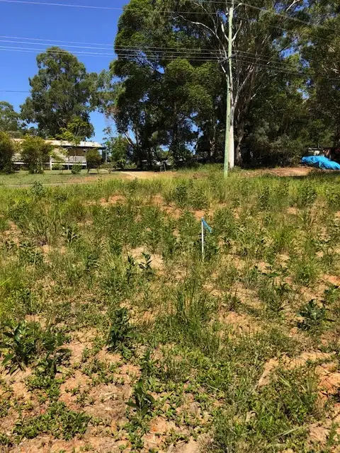 Third view of Homely land listing, 88 Laurel St, Russell Island QLD 4184