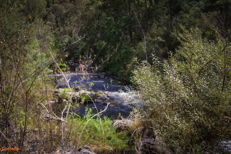Seventh view of Homely house listing, 2942 Benambra-corryong Rd, Nariel Valley VIC 3707