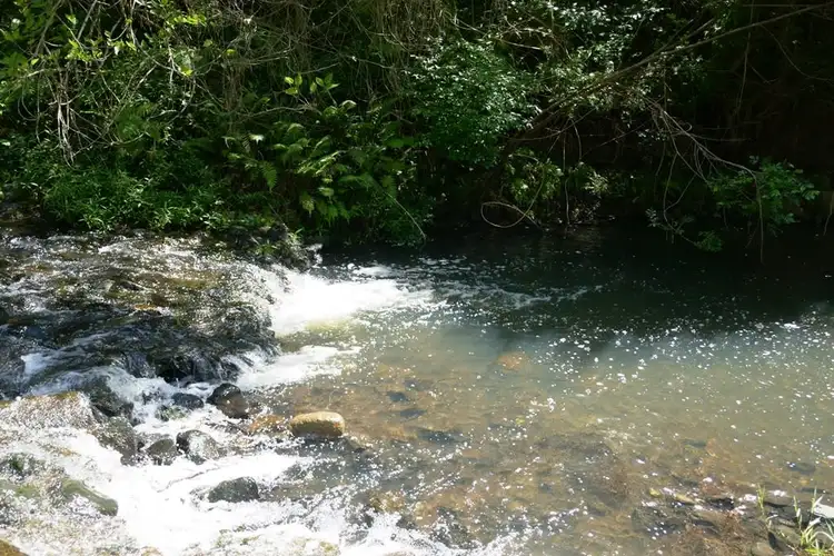 Second view of Homely rural property listing, 41 Sawpit Creek Road, Kyogle NSW 2474