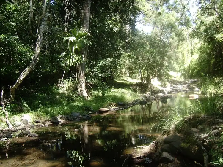 Fourth view of Homely rural property listing, 41 Sawpit Creek Road, Kyogle NSW 2474