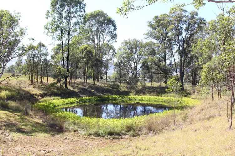 Third view of Homely rural property listing, 4310 The Bucketts Way, Gloucester NSW 2422
