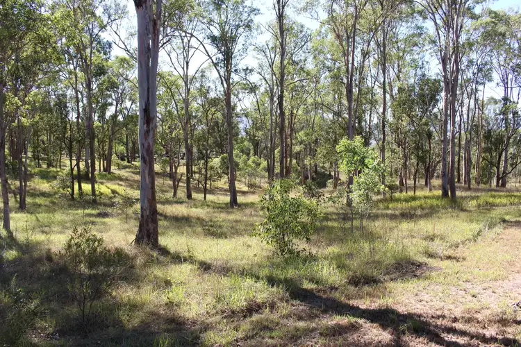 Fourth view of Homely rural property listing, 4310 The Bucketts Way, Gloucester NSW 2422