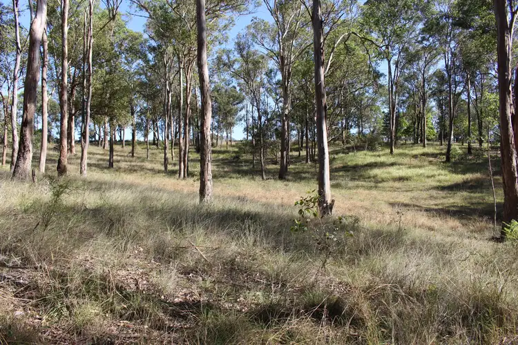 Seventh view of Homely rural property listing, 4310 The Bucketts Way, Gloucester NSW 2422