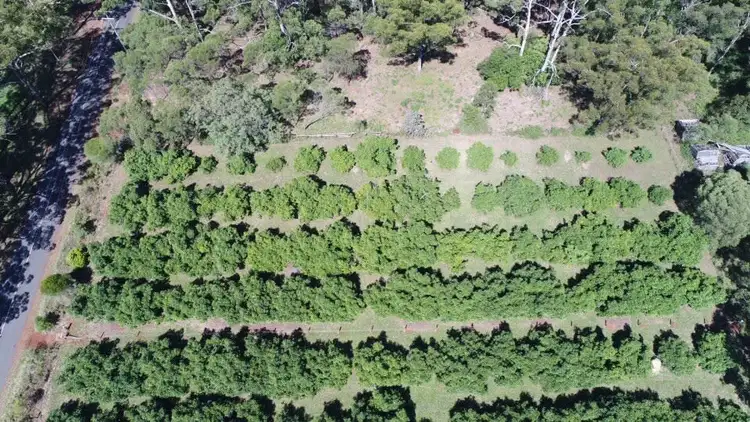 Third view of Homely land listing, Lot 3 Donovan Road, Cabarlah QLD 4352