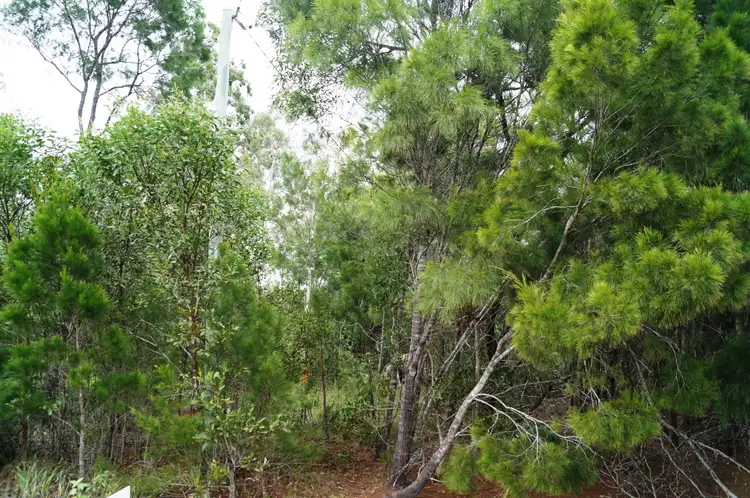 Fifth view of Homely land listing, Lot 2 Wilkinson Rd, Tuan QLD 4650