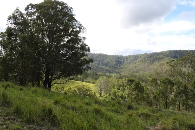 Main view of Homely rural property listing, Lot 117 Bowman River Road, Gloucester NSW 2422