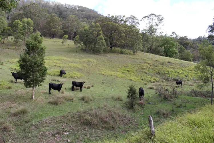 Third view of Homely rural property listing, Lot 117 Bowman River Road, Gloucester NSW 2422