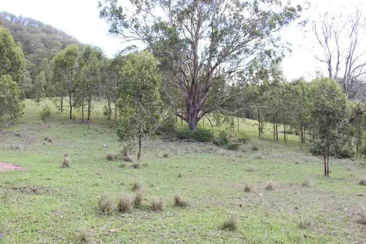 Fifth view of Homely rural property listing, Lot 117 Bowman River Road, Gloucester NSW 2422