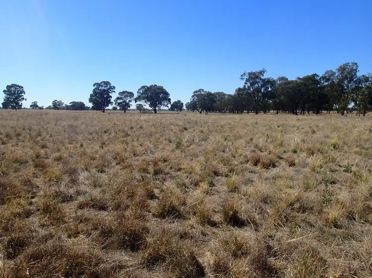 Third view of Homely land listing, 112-114 Federation Way, Daysdale NSW 2646